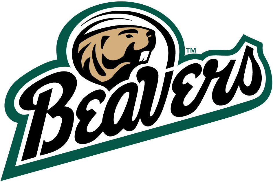 Bemidji State Beavers 2004-Pres Alternate Logo v2 DIY iron on transfer (heat transfer)